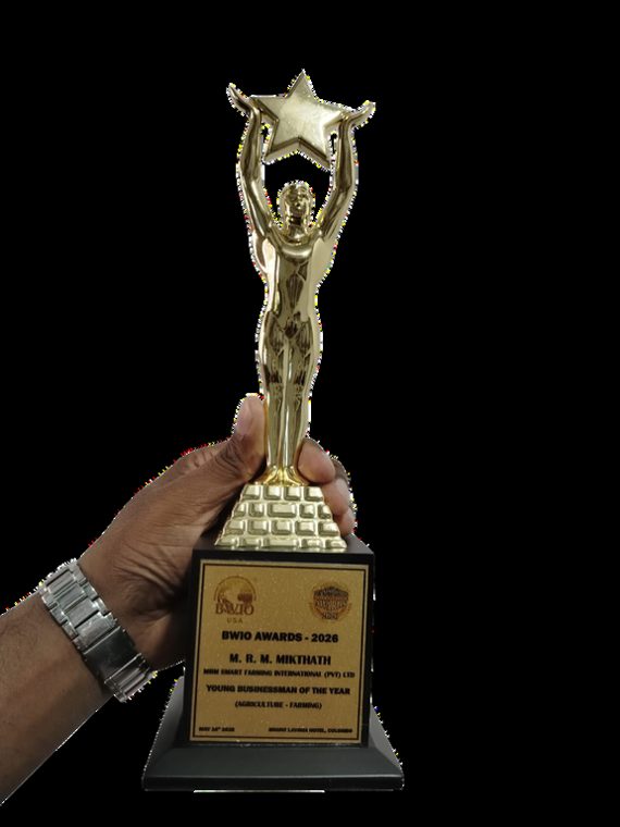 BWIO award trophy